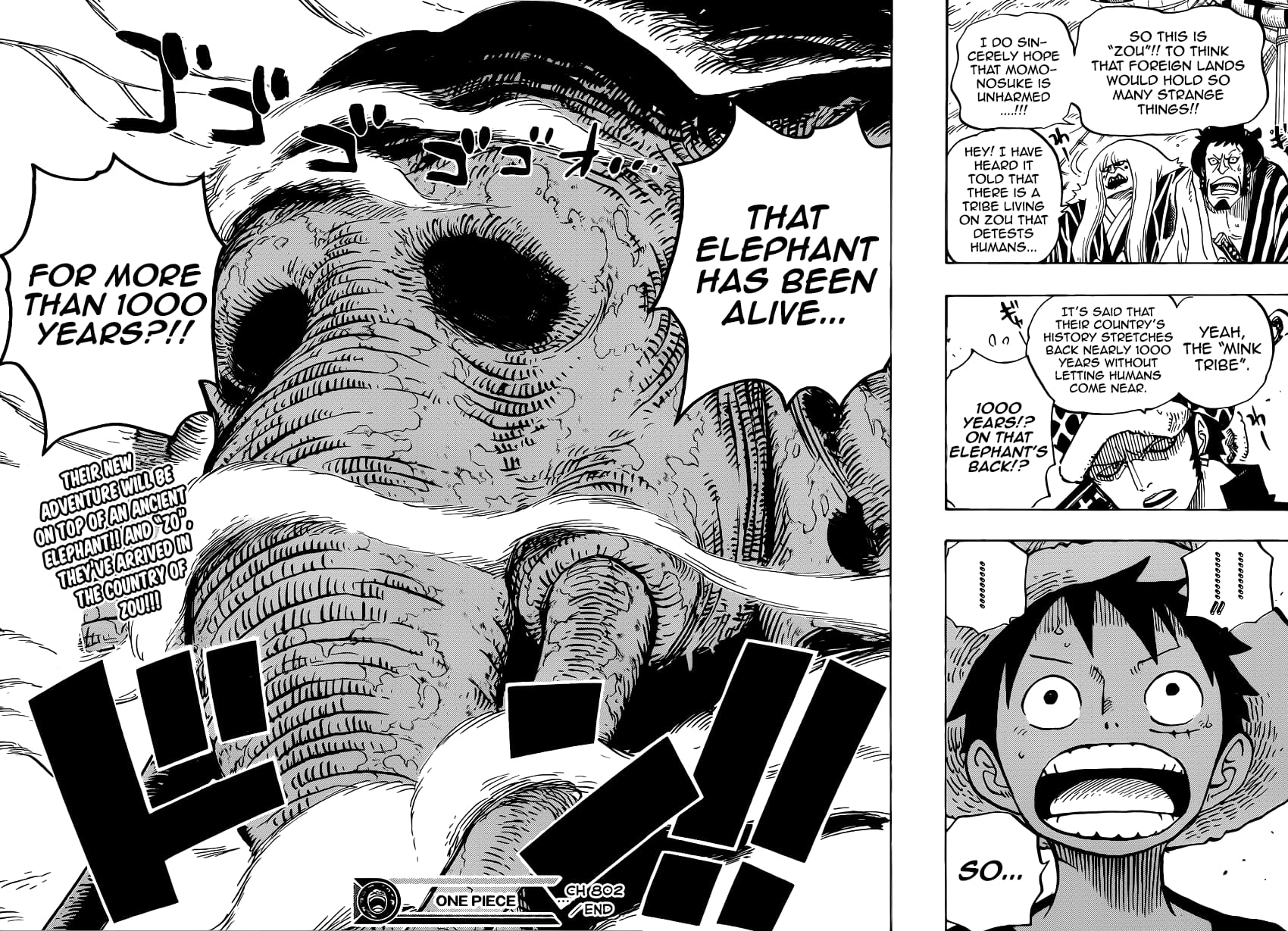 One Piece, Chapter 802 image 16